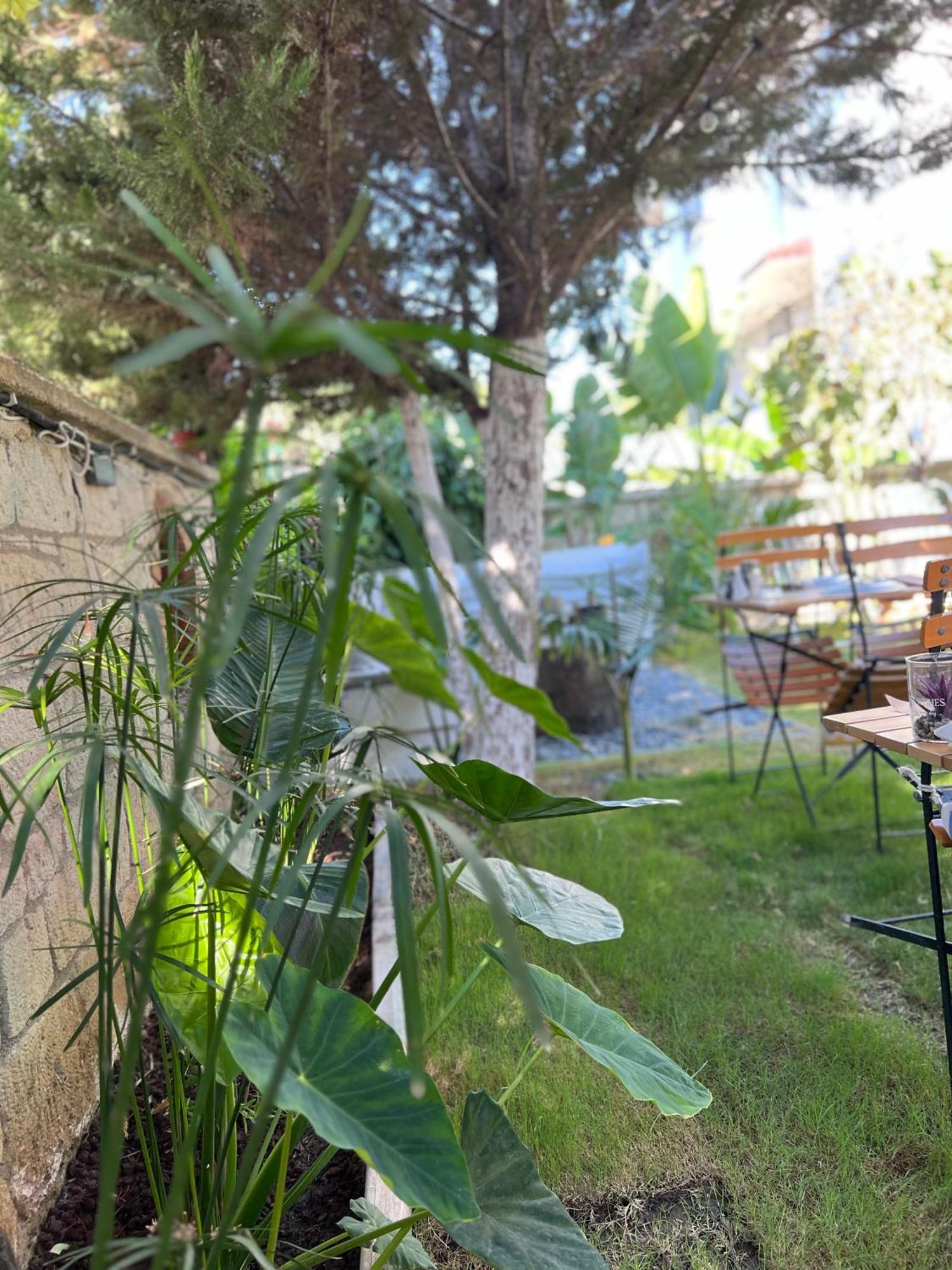 Luna Alacati Exterior photo